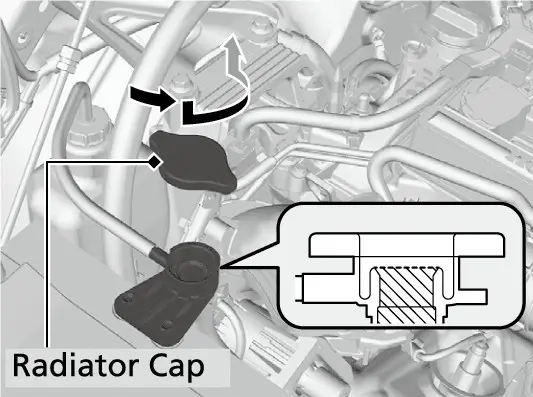 בילד פונעם מאנואל: ארויסנעמען די radiator cap און טשעקן דעם שטאנד ביים אנפיל-האלדז.