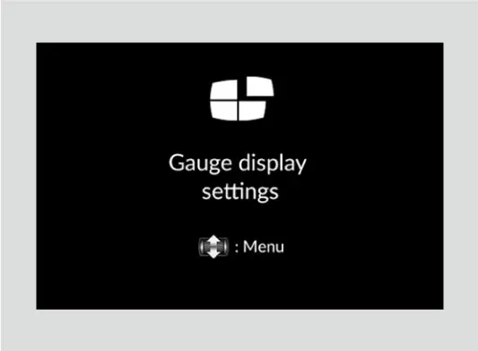 Gauge display settings, דערגרייכט דורך דרייען און דריקן דאס לינקע סעלעקטאר ראדל.
