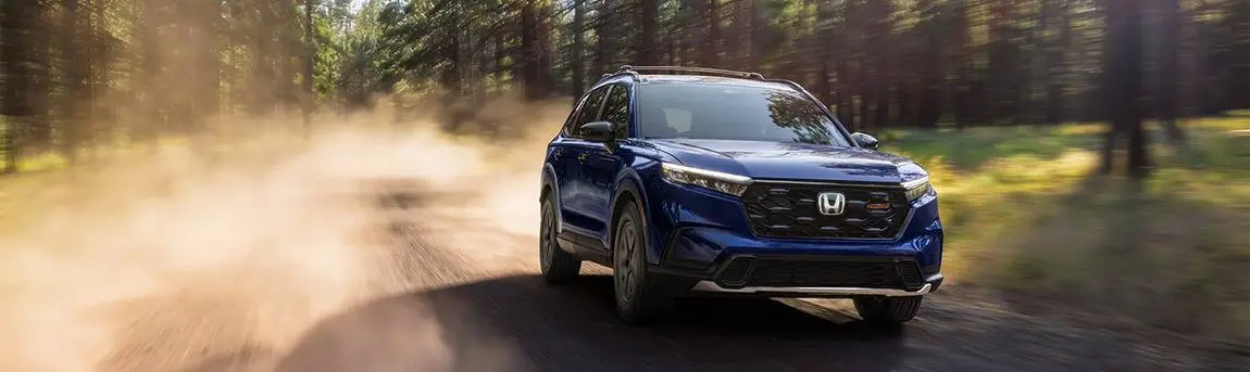 א CR-V אויף א וועגל אין וואלד (TrailSport Hybrid געוויזן).